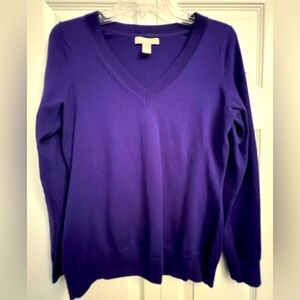 Banana Republic Merino Wool V-Neck Sweater